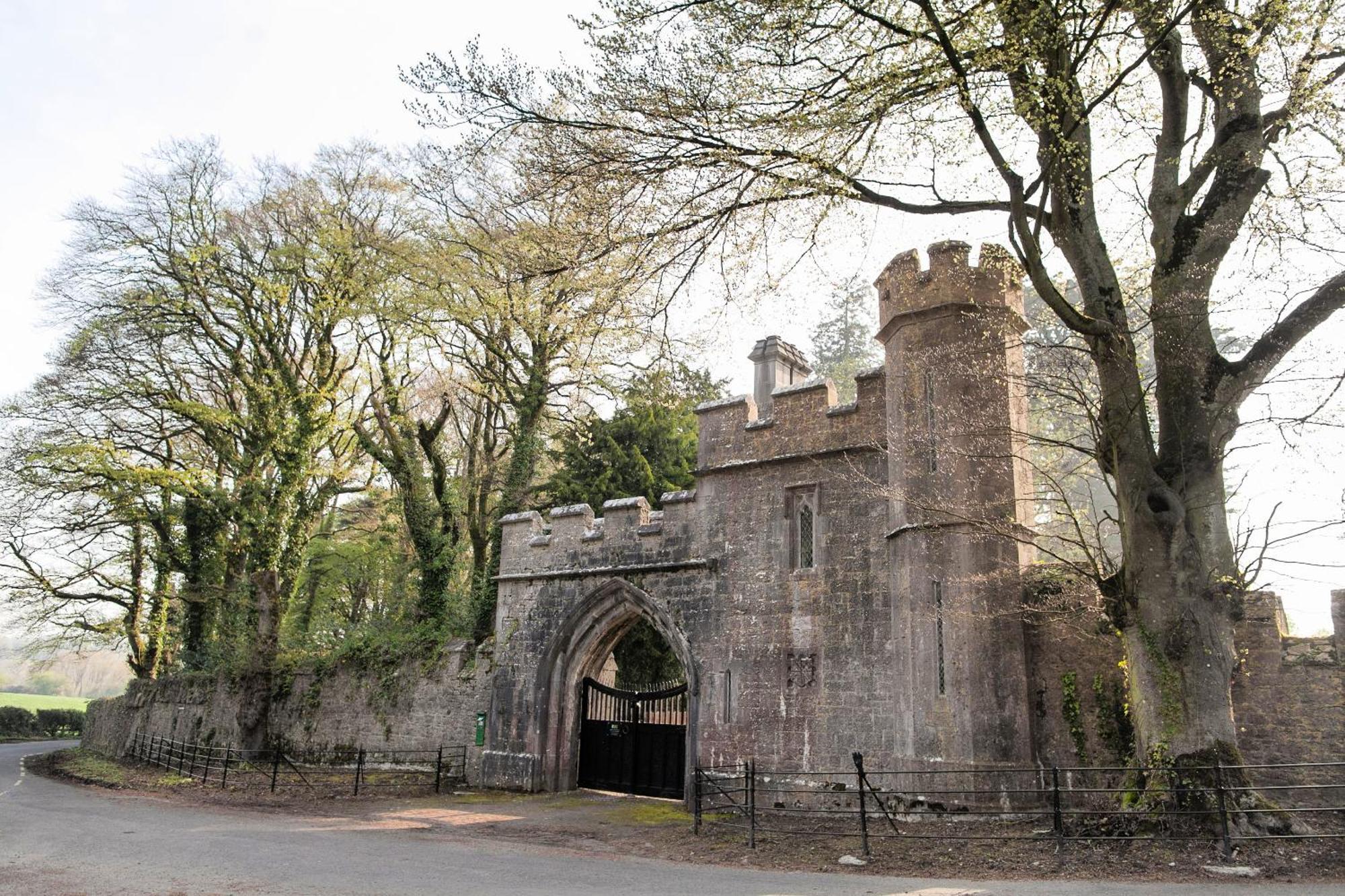 Villa Anne'S Grove Miniature Castle Castletownroche Exterior foto